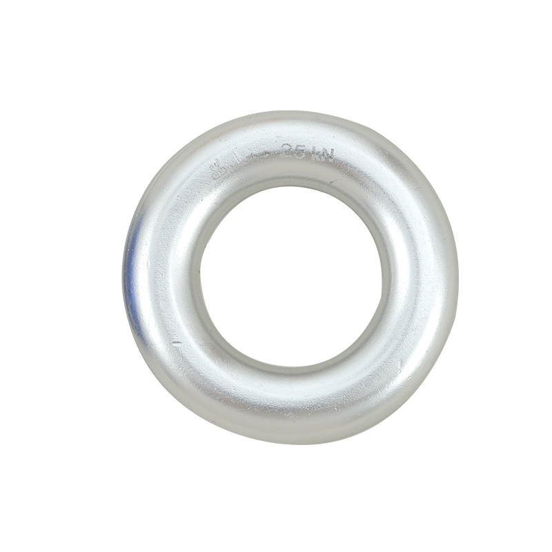 590010 O-RING